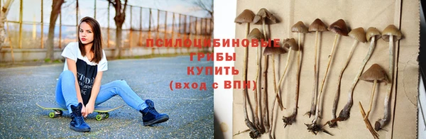 гидропоника Алексеевка