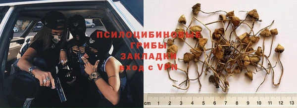 mdpv Алзамай